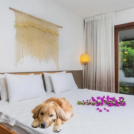 Faros Bodrum - Special Category Отель Гёльтюрбюку